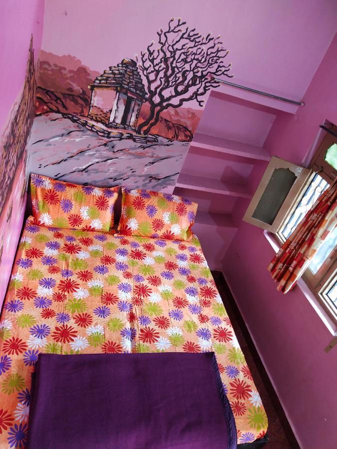 Temple View Guest House 함피 외부 사진